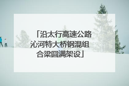沿太行高速公路沁河特大桥钢混组合梁圆满架设