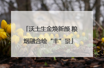 沃土生金焕新颜 粮烟融合绘“丰”景
