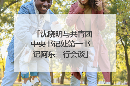 沈晓明与共青团中央书记处第一书记阿东一行会谈