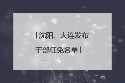 沈阳、大连发布干部任免名单
