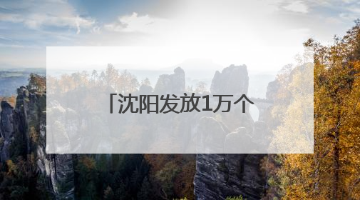 沈阳发放1万个“消费券包”，每份3张共计180元，领取方式→