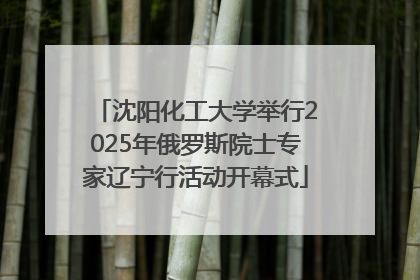 沈阳化工大学举行2025年俄罗斯院士专家辽宁行活动开幕式