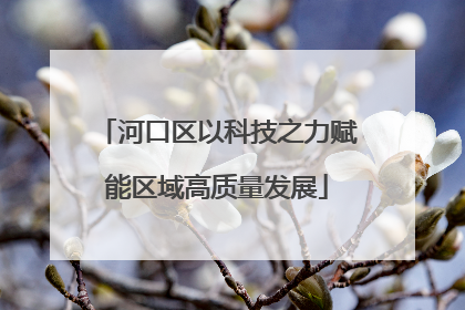 河口区以科技之力赋能区域高质量发展