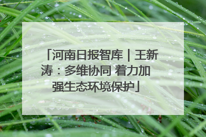 河南日报智库｜王新涛：多维协同 着力加强生态环境保护