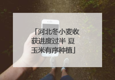 河北冬小麦收获进度过半 夏玉米有序种植