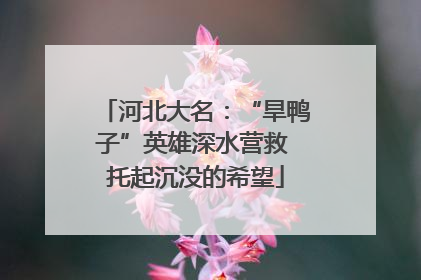 河北大名：“旱鸭子”英雄深水营救 托起沉没的希望