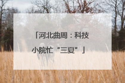 河北曲周：科技小院忙“三夏”