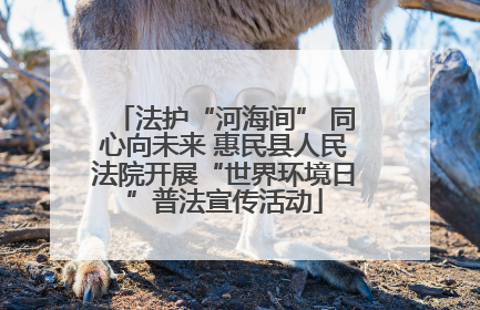 法护“河海间” 同心向未来 惠民县人民法院开展“世界环境日”普法宣传活动