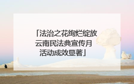 法治之花绚烂绽放 云南民法典宣传月活动成效显著