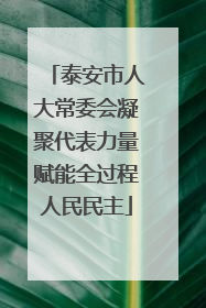 泰安市人大常委会凝聚代表力量赋能全过程人民民主