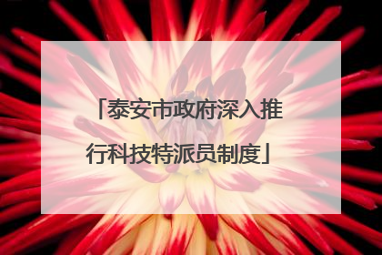 泰安市政府深入推行科技特派员制度