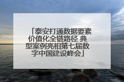 泰安打通数据要素价值化全链路径 典型案例亮相第七届数字中国建设峰会
