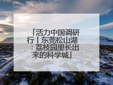 活力中国调研行丨东莞松山湖：荔枝园里长出来的科学城
