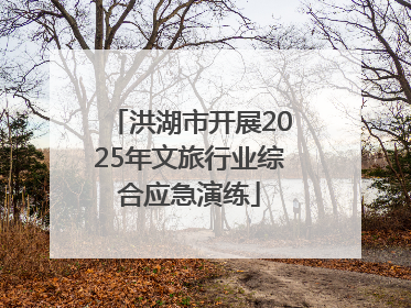 洪湖市开展2025年文旅行业综合应急演练
