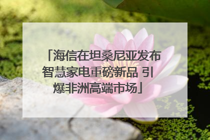 海信在坦桑尼亚发布智慧家电重磅新品 引爆非洲高端市场