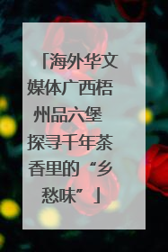 海外华文媒体广西梧州品六堡 探寻千年茶香里的“乡愁味”