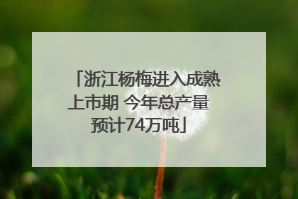 浙江杨梅进入成熟上市期 今年总产量预计74万吨