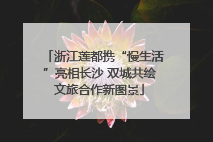 浙江莲都携“慢生活”亮相长沙 双城共绘文旅合作新图景