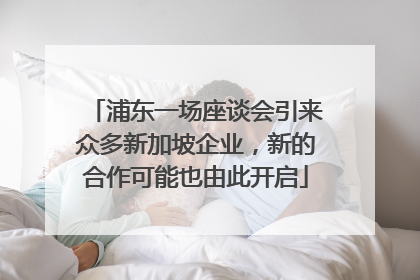 浦东一场座谈会引来众多新加坡企业，新的合作可能也由此开启