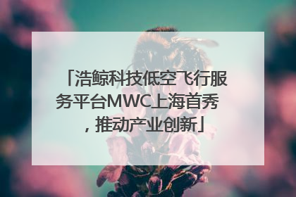 浩鲸科技低空飞行服务平台MWC上海首秀，推动产业创新