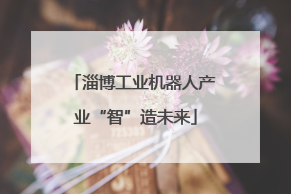 淄博工业机器人产业“智”造未来