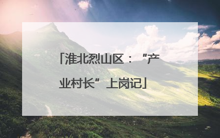 淮北烈山区：“产业村长”上岗记