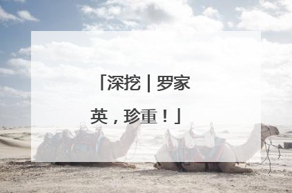 深挖｜罗家英，珍重！
