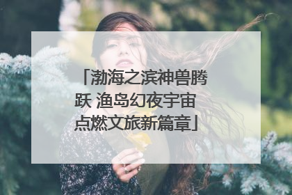 渤海之滨神兽腾跃 渔岛幻夜宇宙点燃文旅新篇章