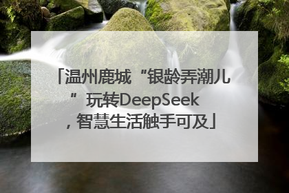 温州鹿城“银龄弄潮儿”玩转DeepSeek，智慧生活触手可及