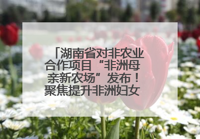 湖南省对非农业合作项目“非洲母亲新农场”发布！聚焦提升非洲妇女能力与家庭福祉