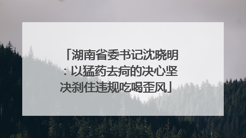 湖南省委书记沈晓明：以猛药去疴的决心坚决刹住违规吃喝歪风