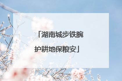湖南城步铁腕护耕地保粮安