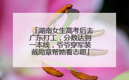 湖南女生高考后去广东打工，分数达到一本线，爷爷穿军装戴勋章帮她看志愿