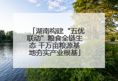 湖南构建“五优联动”粮食全链生态 千万亩粮源基地夯实产业根基