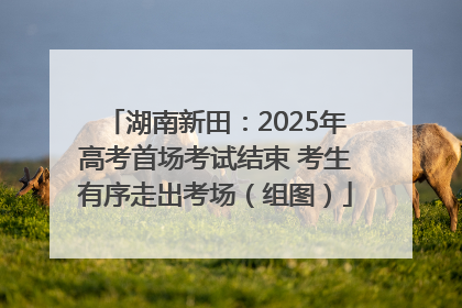 湖南新田：2025年高考首场考试结束 考生有序走出考场（组图）