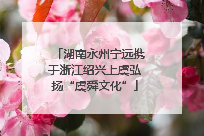 湖南永州宁远携手浙江绍兴上虞弘扬“虞舜文化”