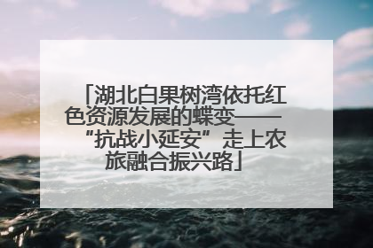 湖北白果树湾依托红色资源发展的蝶变——“抗战小延安”走上农旅融合振兴路