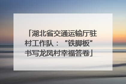 湖北省交通运输厅驻村工作队：“铁脚板”书写龙凤村幸福答卷