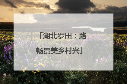 湖北罗田：路畅景美乡村兴