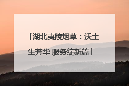 湖北夷陵烟草：沃土生芳华 服务绽新篇