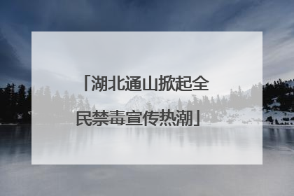 湖北通山掀起全民禁毒宣传热潮