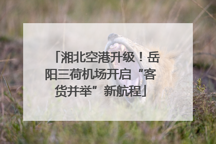 湘北空港升级！岳阳三荷机场开启“客货并举”新航程