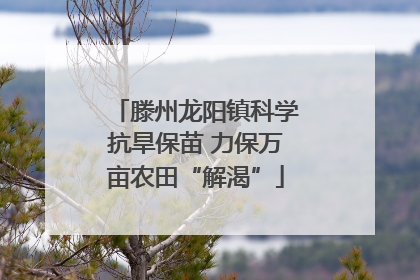 滕州龙阳镇科学抗旱保苗 力保万亩农田“解渴”