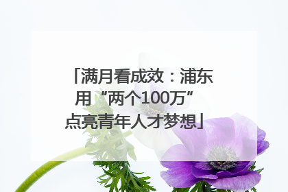 满月看成效：浦东用“两个100万”点亮青年人才梦想
