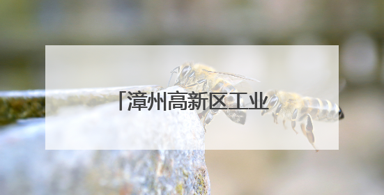 漳州高新区工业地产提质增效工作现场会召开
