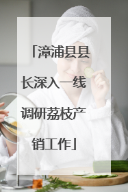 漳浦县县长深入一线调研荔枝产销工作