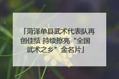菏泽单县武术代表队再创佳绩 持续擦亮“全国武术之乡”金名片