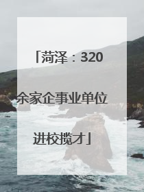 菏泽：320余家企事业单位进校揽才