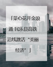 菜心花开金浪涌 民乐县高铁沿线激活“美丽经济”