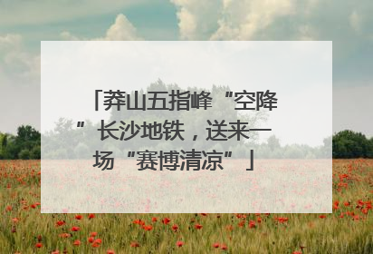 莽山五指峰“空降”长沙地铁，送来一场“赛博清凉”